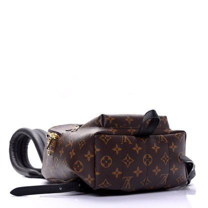 Louis Vuitton Monogram Palm Springs Backpack PM 3 of 14