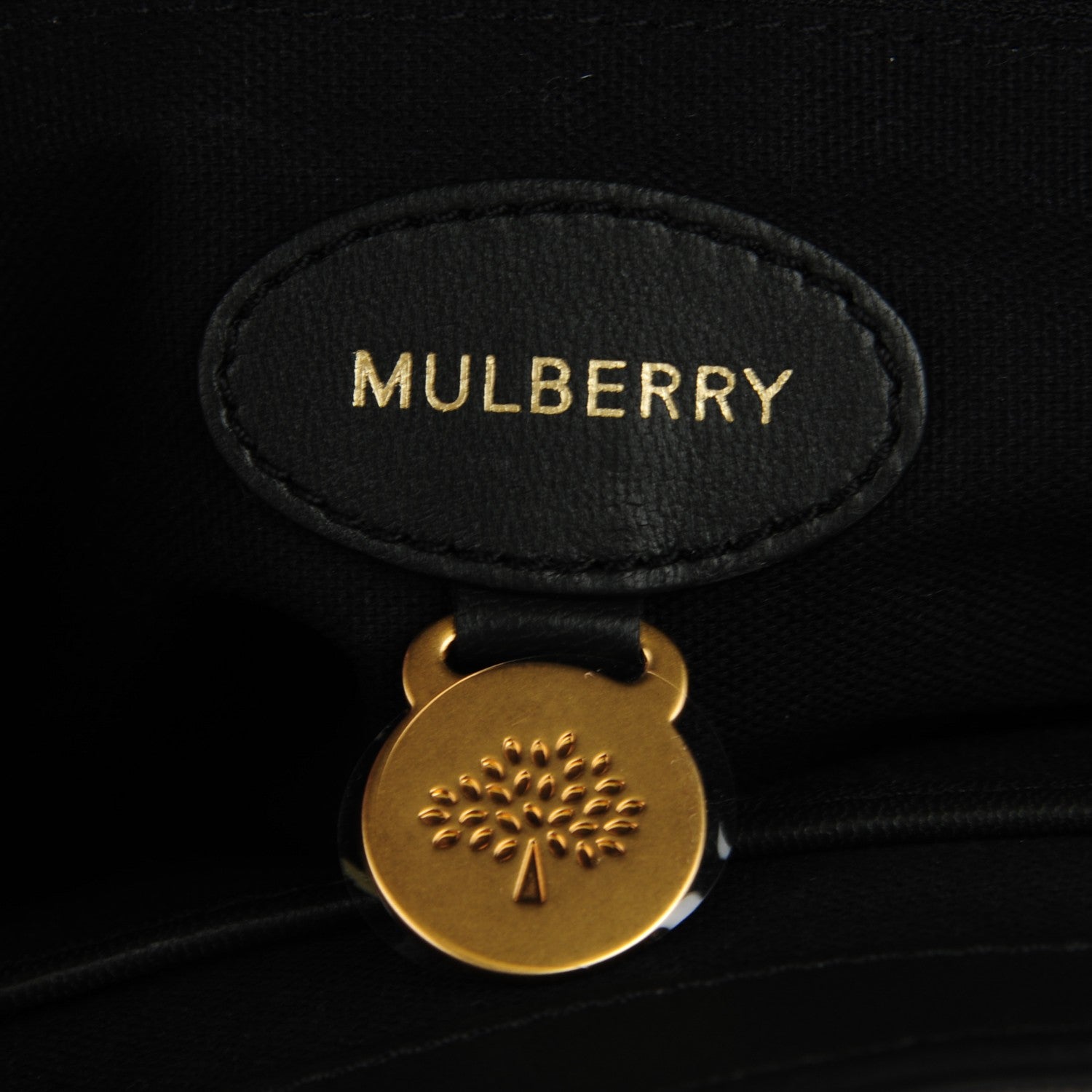 Mulberry Nappa Suede Medium Panel Alexa Evergreen 6 of 7