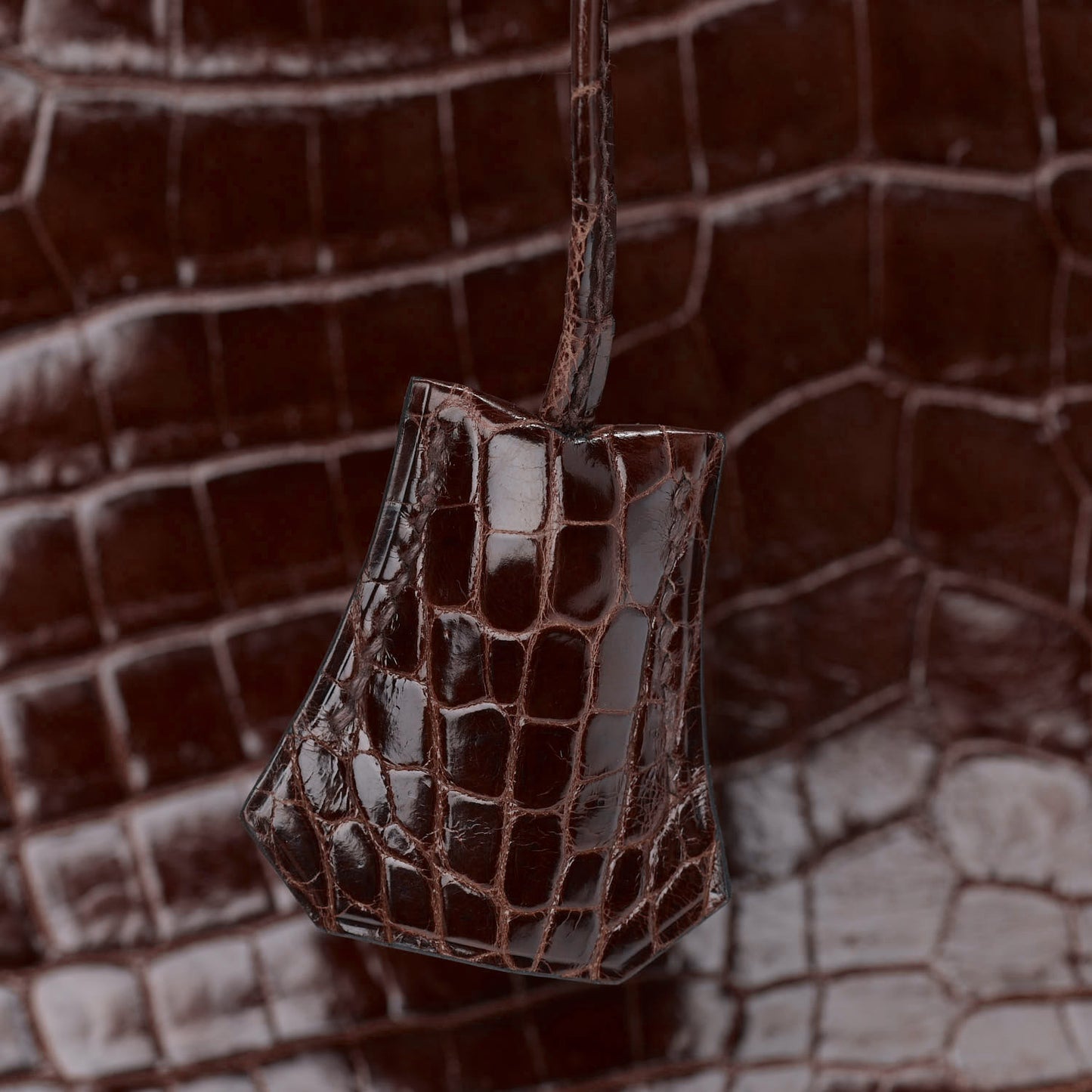 Shiny Niloticus Crocodile Birkin 25 Miel