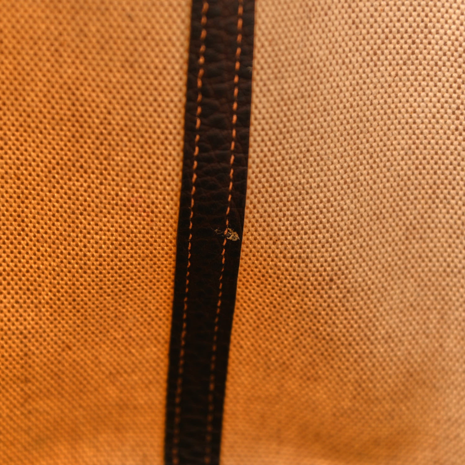 Hermes Toile Buffle Gala Garden Party Tote 36 MM Marron Fonce 11 of 12