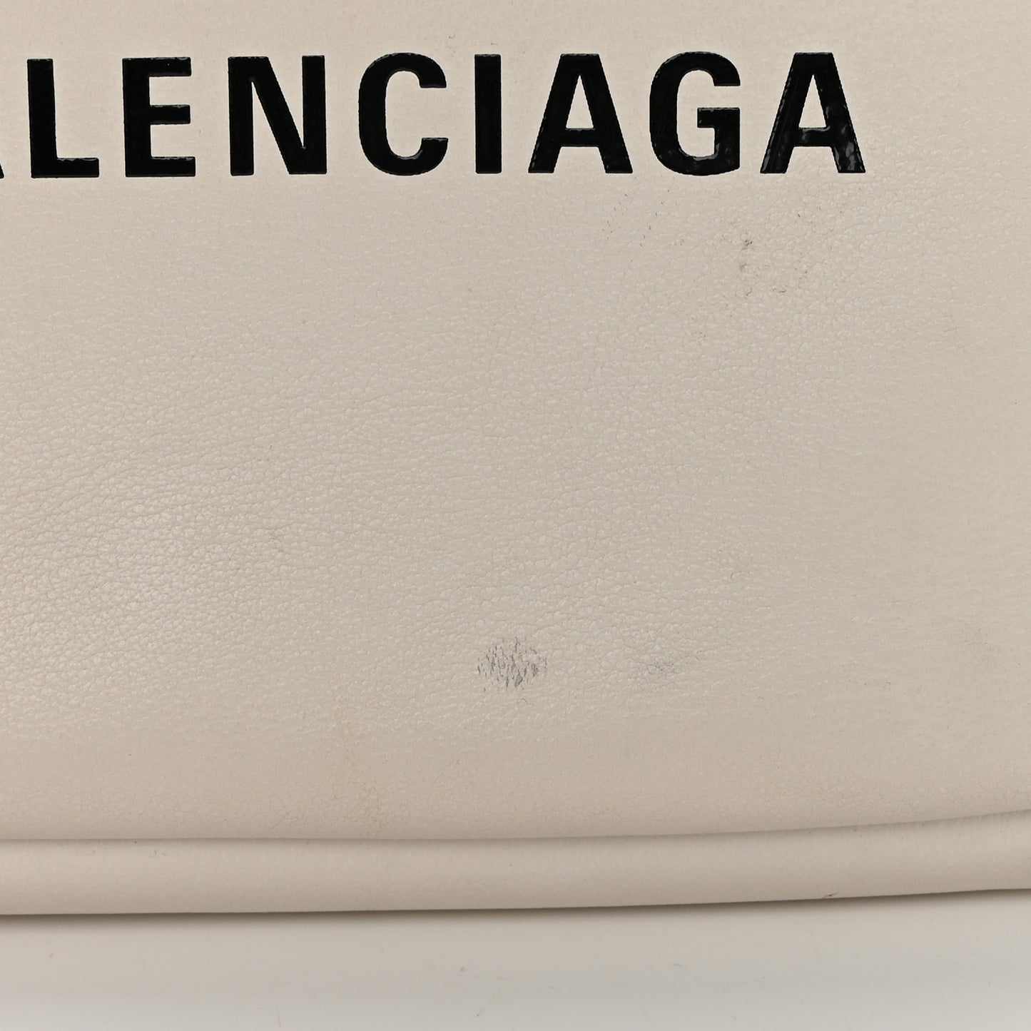 Calfskin Logo S Everyday Camera Bag White