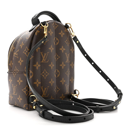 Louis Vuitton Monogram Palm Springs Backpack Mini 3 of 10