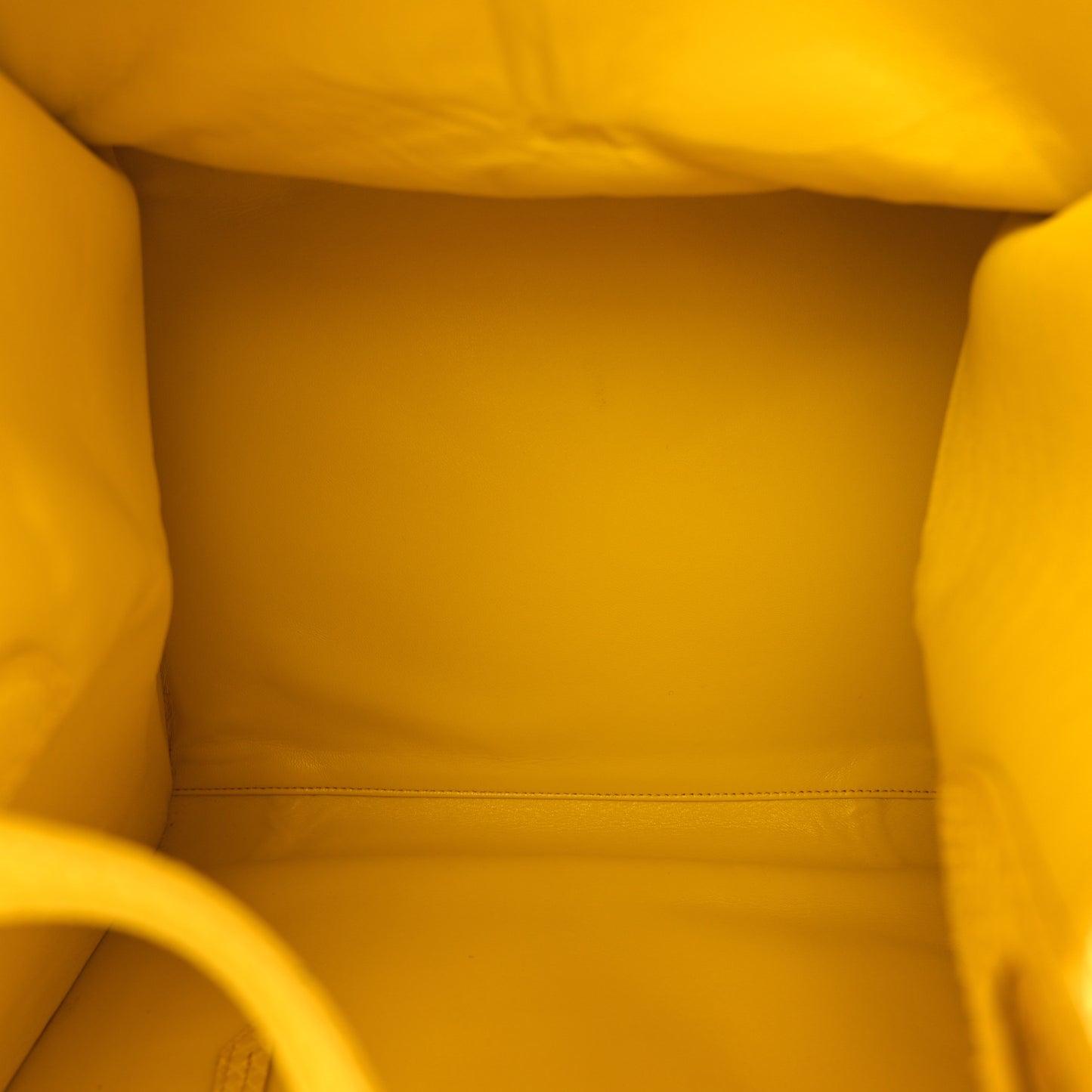 Snakeskin Medium Phantom Luggage Yellow