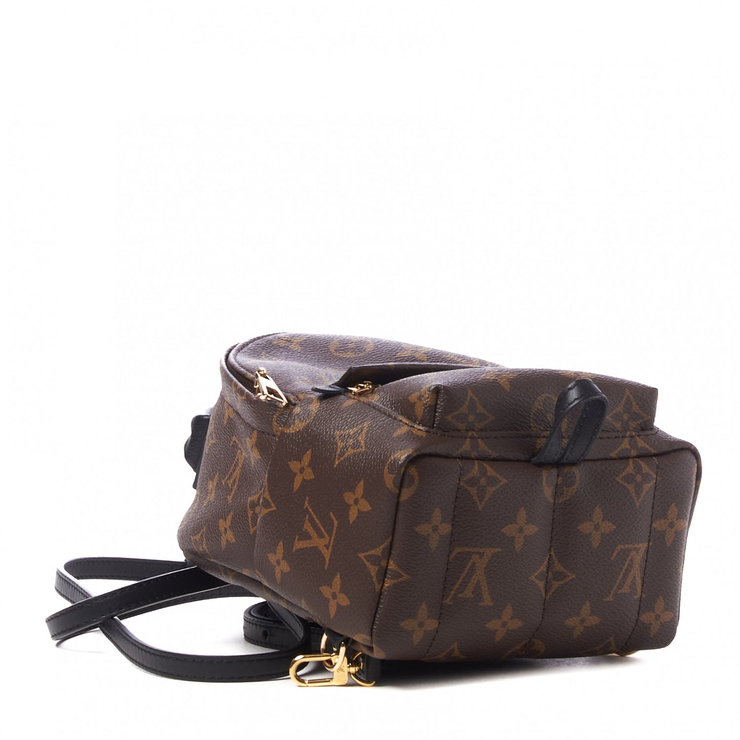 Monogram Palm Springs Backpack Mini