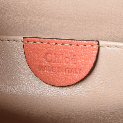 Chloe Goatskin Small Elsie Shoulder Bag Coral Pop 7 of 8