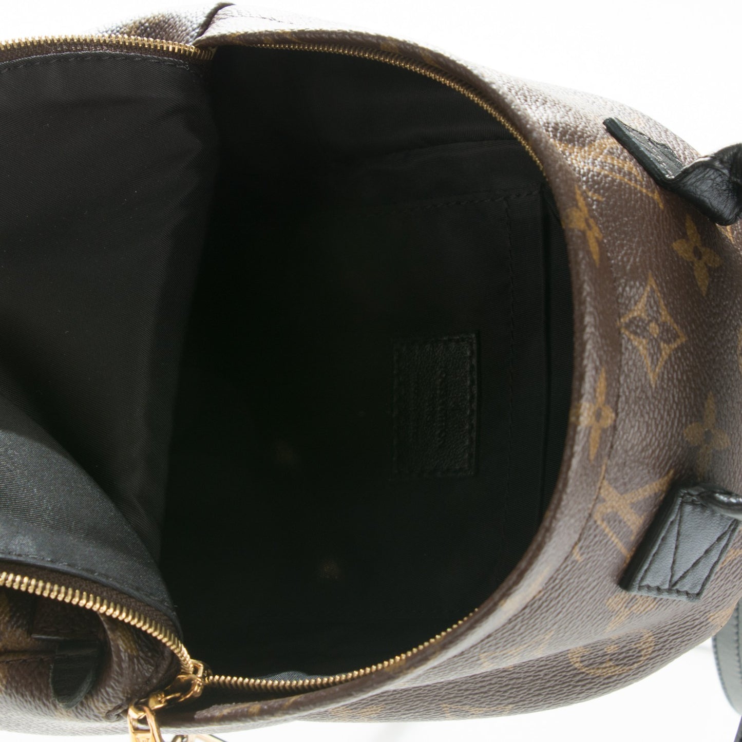 Monogram Palm Springs Backpack Mini
