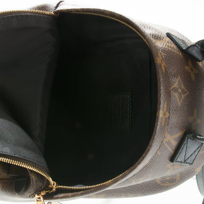 Louis Vuitton Monogram Palm Springs Backpack Mini 12 of 14