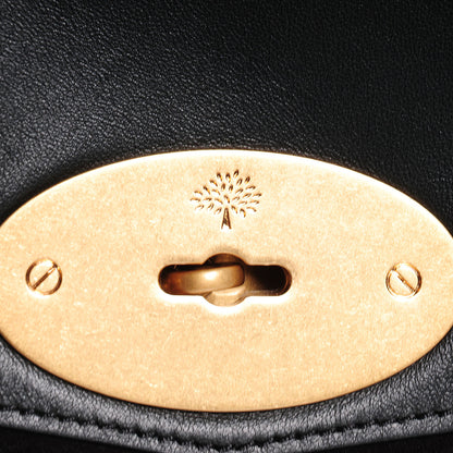 Mulberry Nappa and Suede Alexa Satchel Evergreen 11 of 15