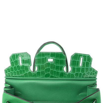 Hermes Togo Shiny Niloticus Crocodile Birkin Touch 30 Bamboo Cactus 17 of 34