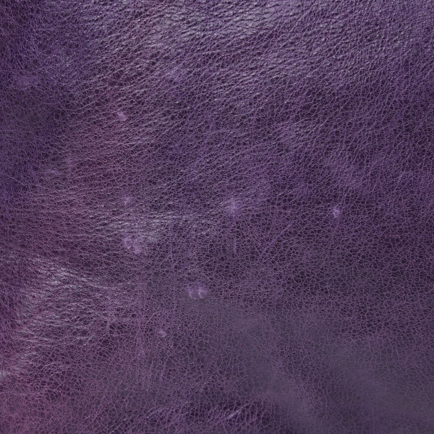 Balenciaga Agneau Giant 21 Silver Hardware Work Raisin 12 of 14