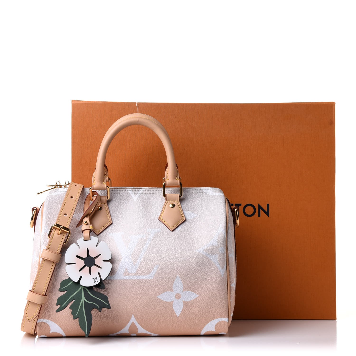 Louis Vuitton Monogram Giant By The Pool Speedy Bandouliere 25 Brume 12 of 12