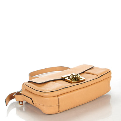 Chloe Goatskin Medium Elsie Camera Bag Blush 4 of 11