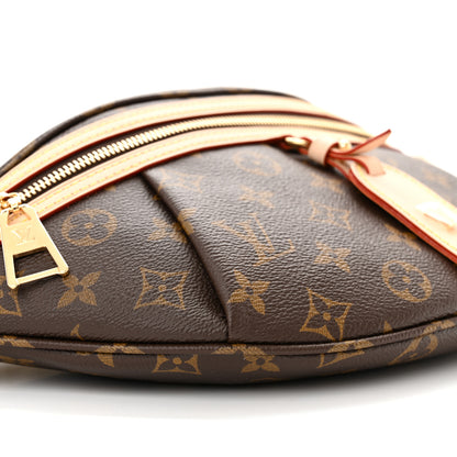 Louis Vuitton Monogram High Rise Bumbag 8 of 9