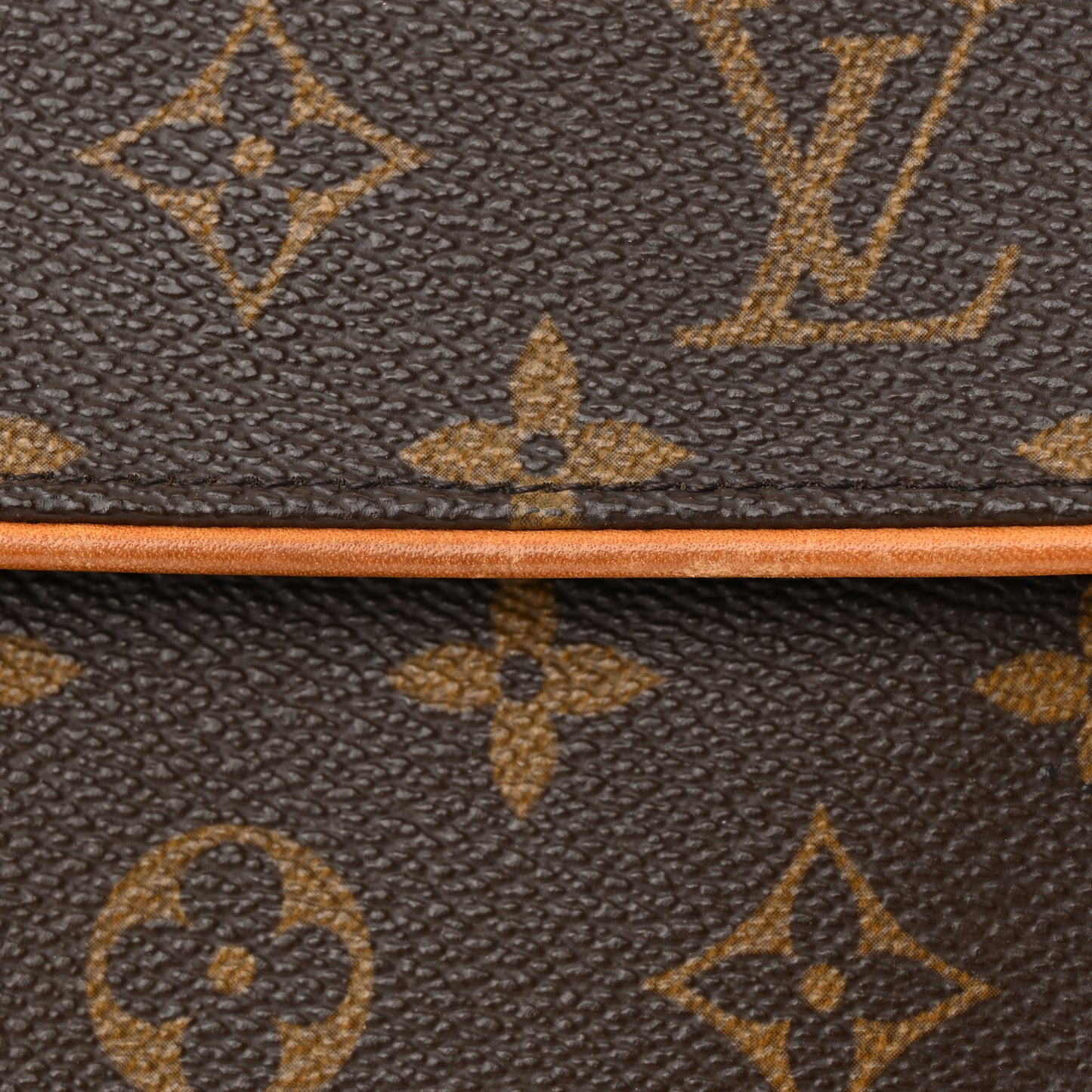 Monogram Pochette Florentine L