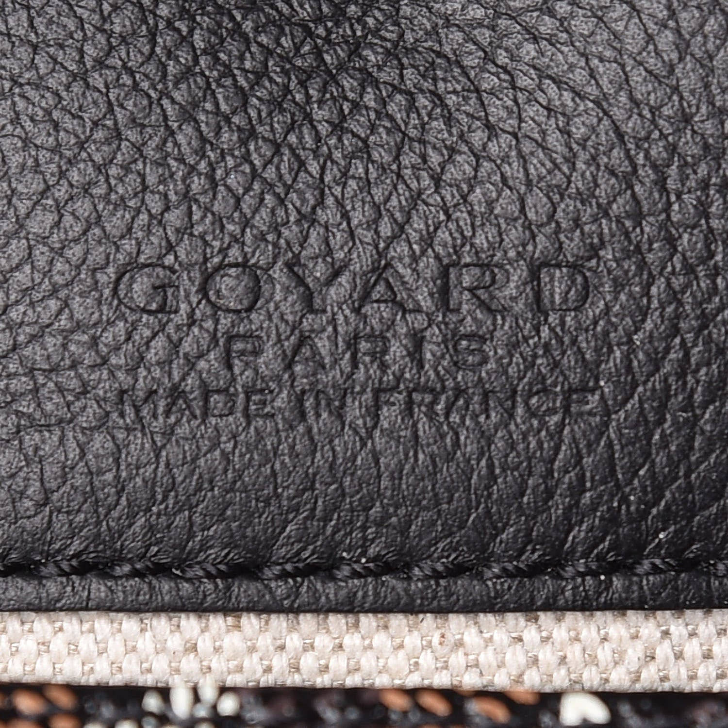Goyard Goyardine Saint Louis PM Black 9 of 10