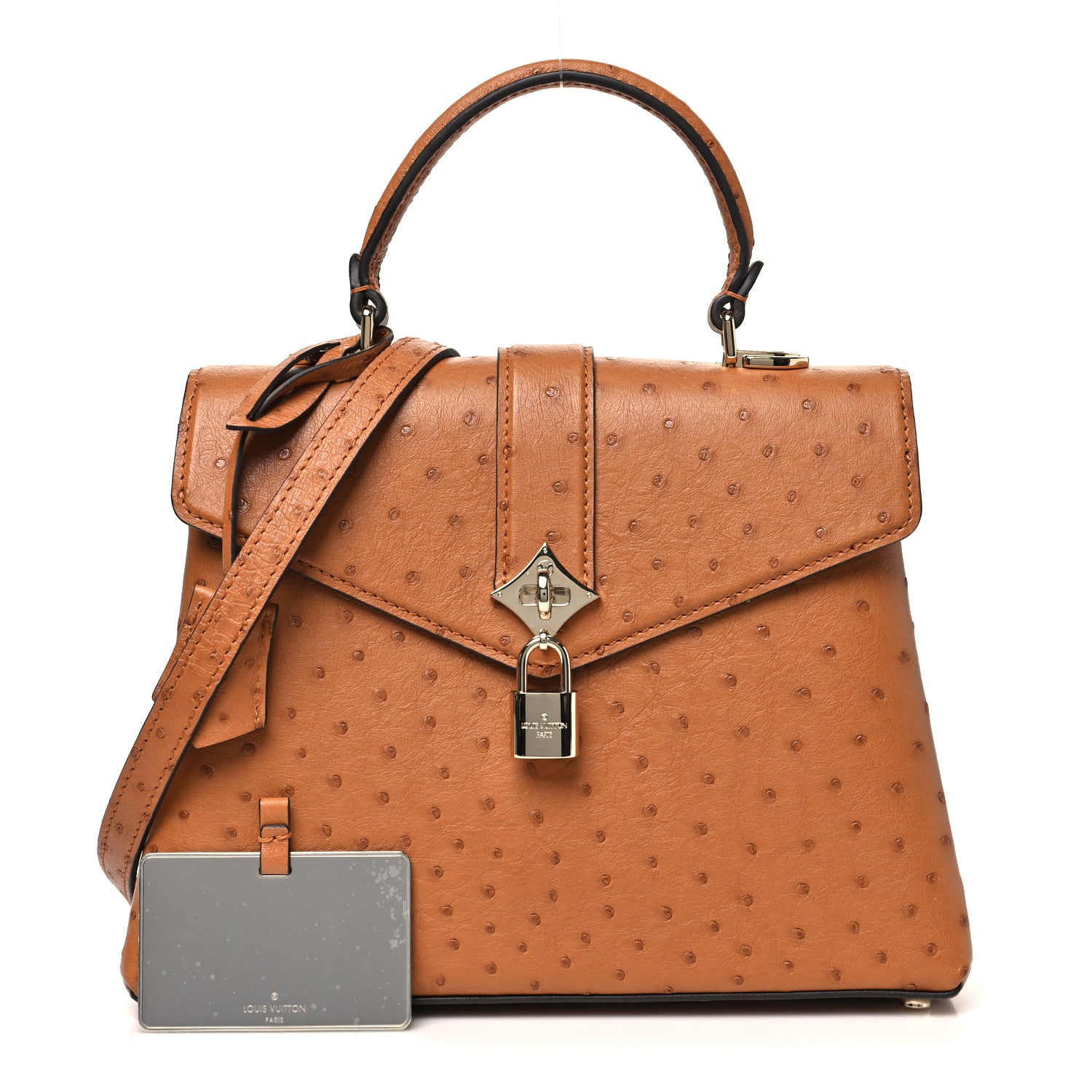 Louis Vuitton Ostrich Rose Des Vents PM Cognac 2 of 11