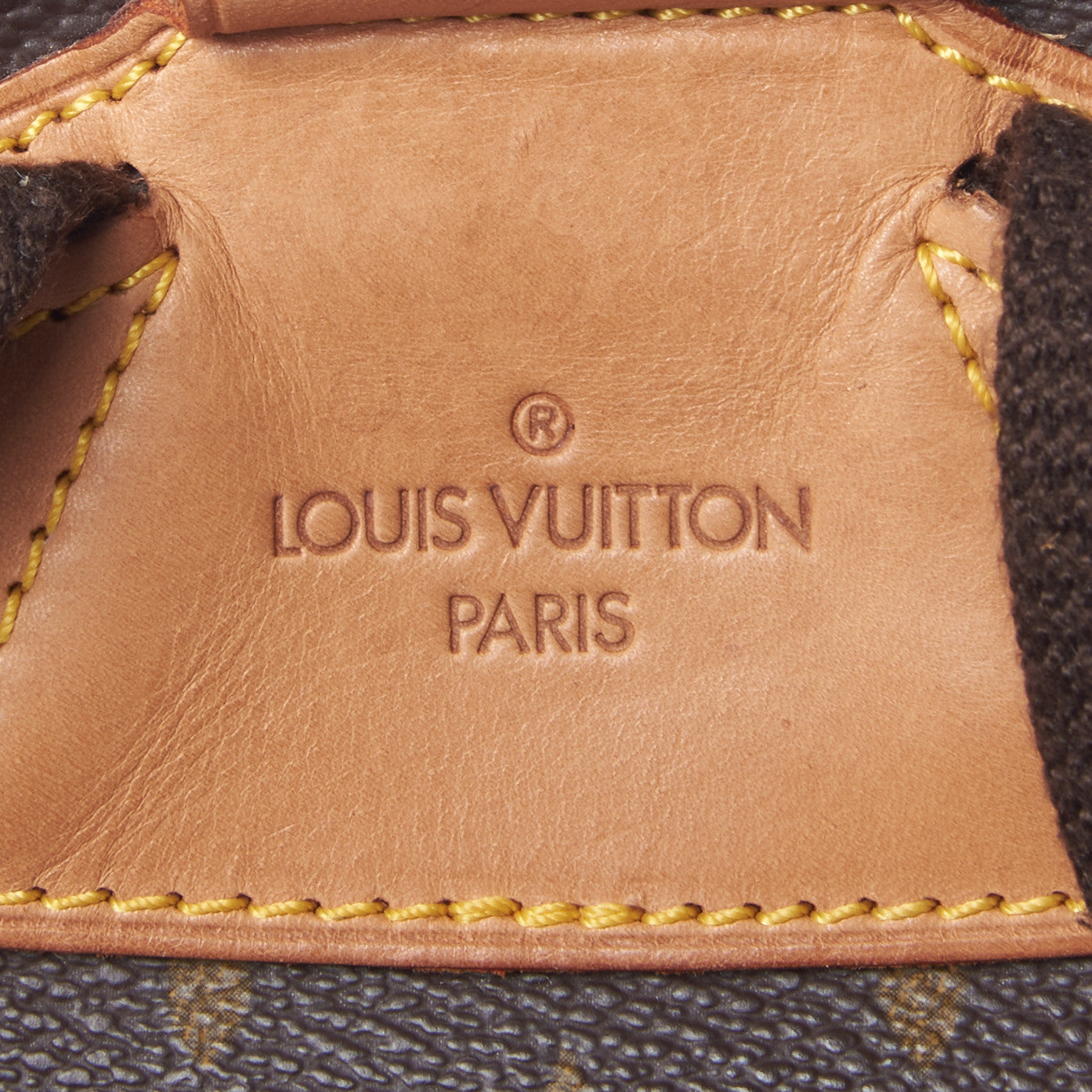 Monogram Montsouris GM Backpack