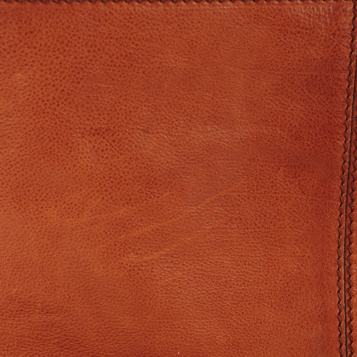 Lambskin North South Nightingale Camel