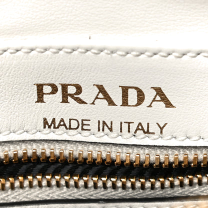 Prada City Calf Tiger Head Cahier Crossbody Talco 6 of 10