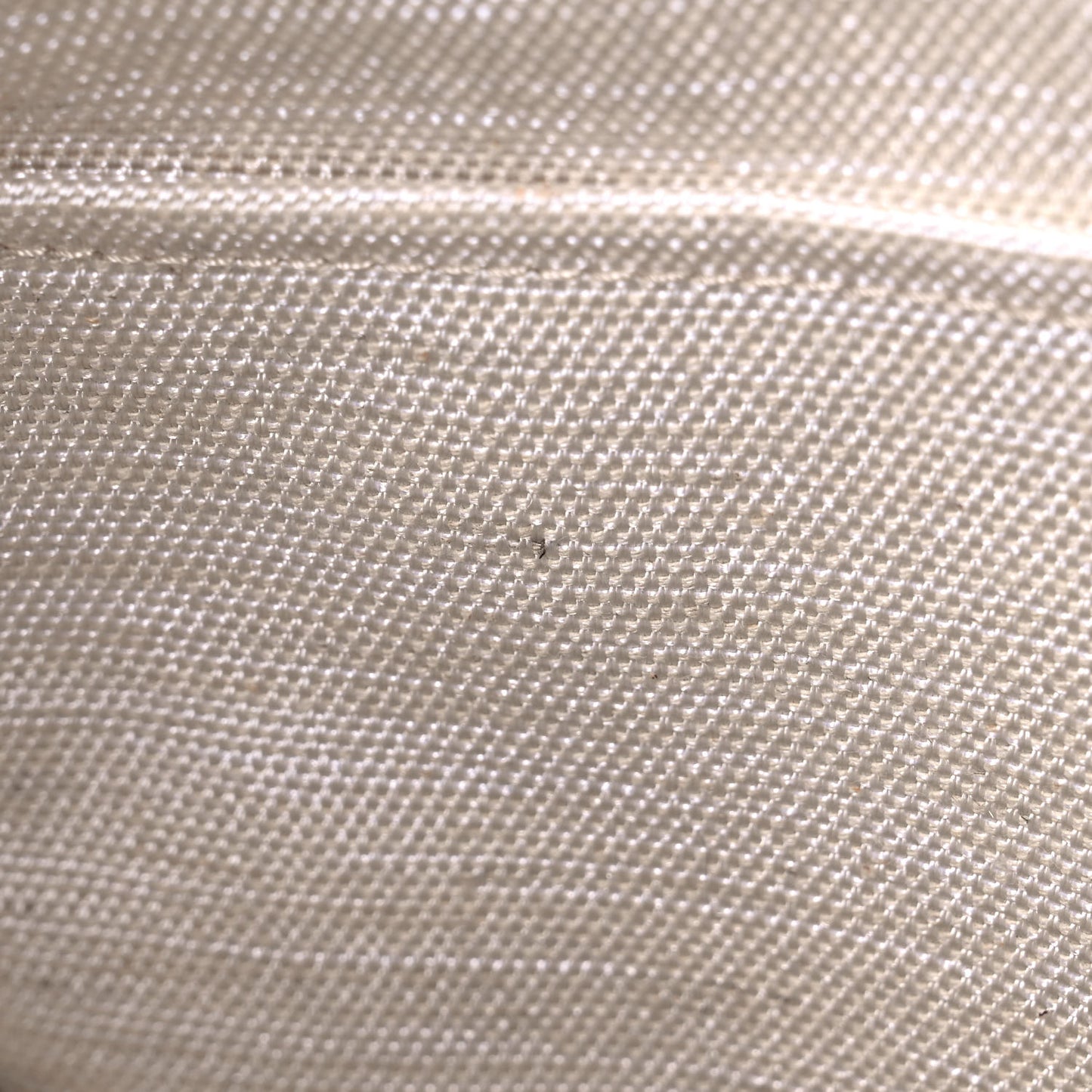 Cotton Canvas The Summer Medium Tote Bag Beige