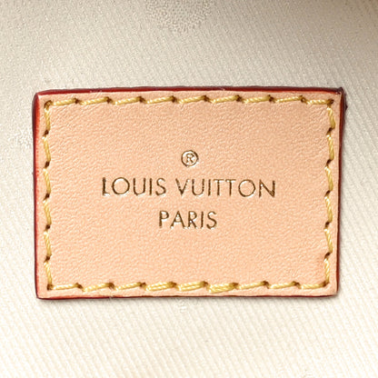 Louis Vuitton Monogram High Rise Bumbag 6 of 10
