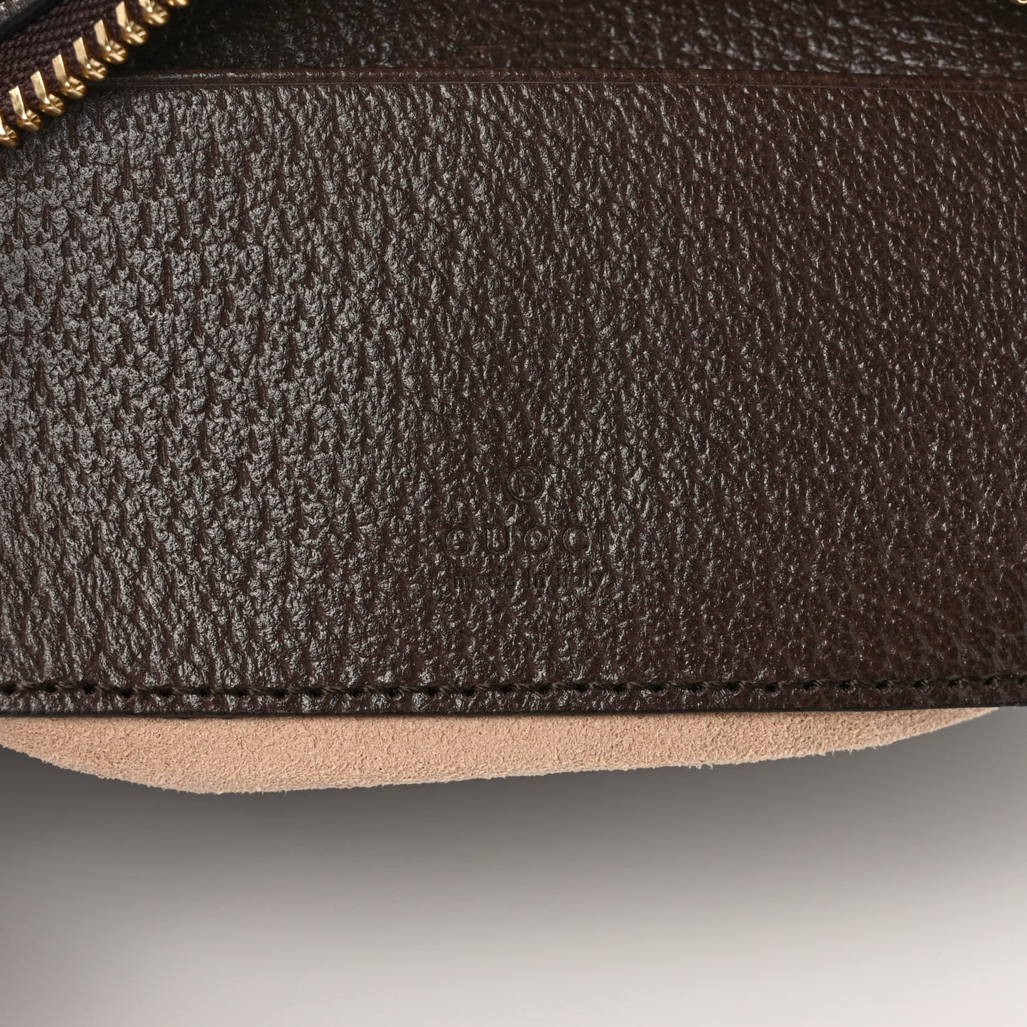 GG Supreme Monogram Textured Calfskin Web Mini Ophidia Half Moon Hobo Beige Ebony New Acero