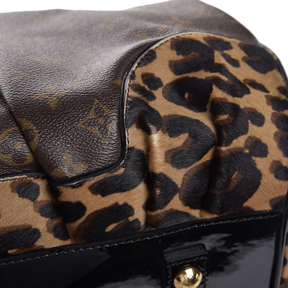 Louis Vuitton Monogram Leopard Stephen Bag 14 of 14