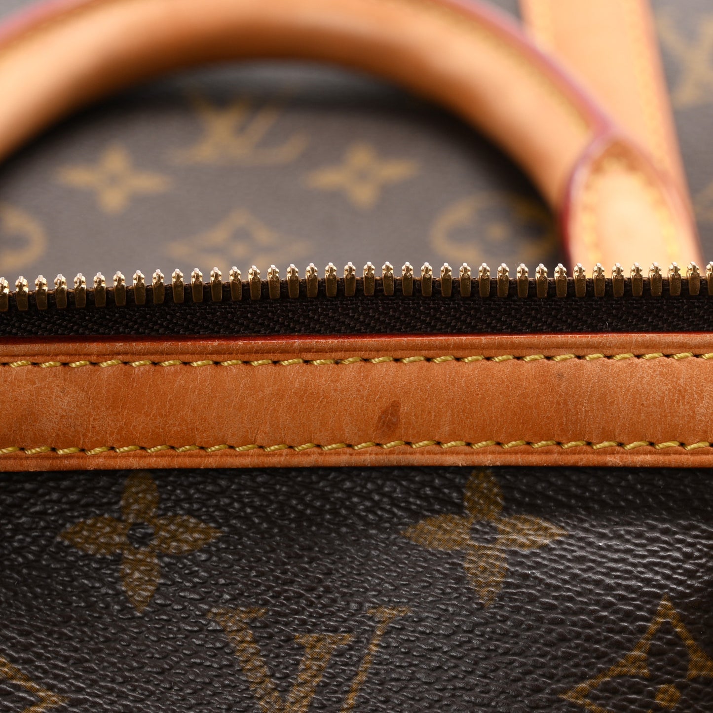 Monogram Sofia Coppola Speedy