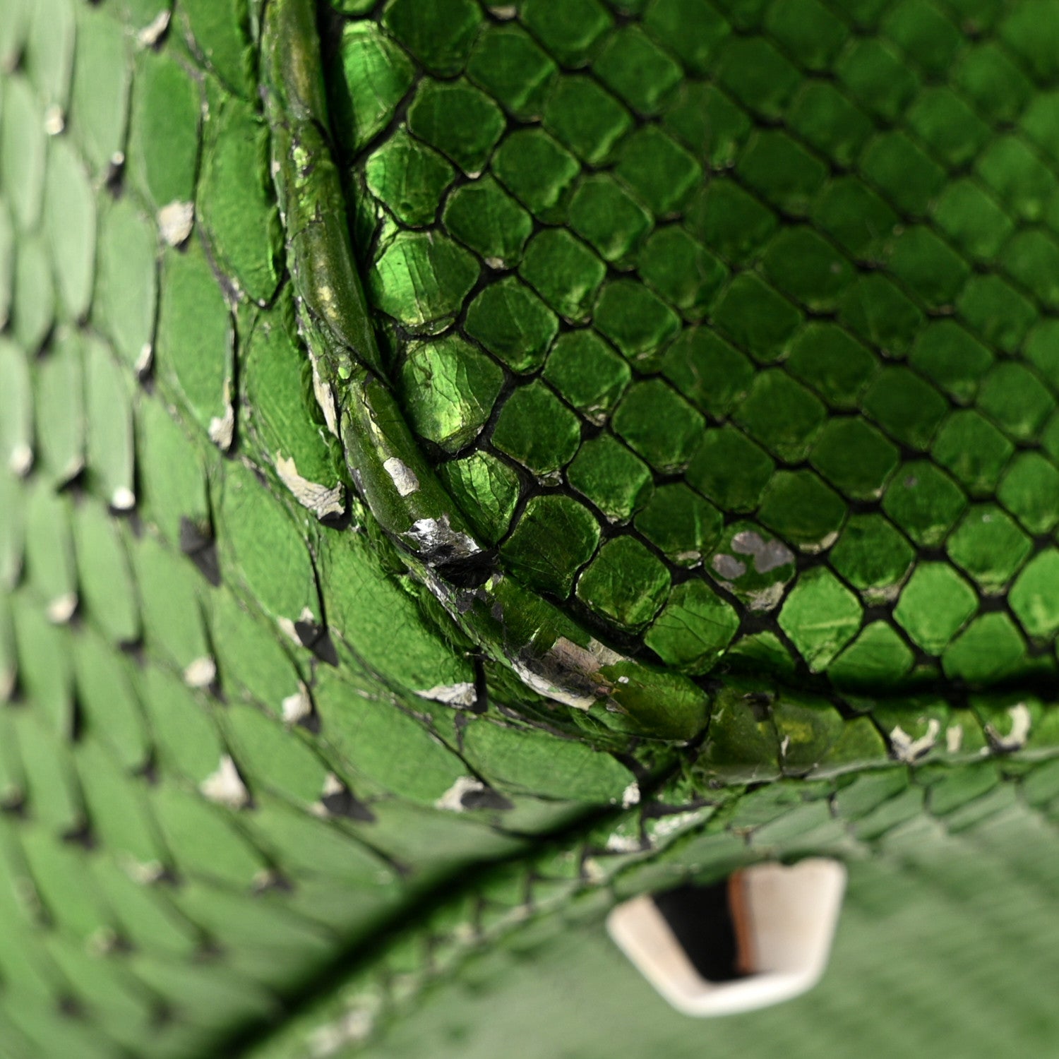 Christian Dior Metallic Snakeskin Mini Lady Dior Green 18 of 20