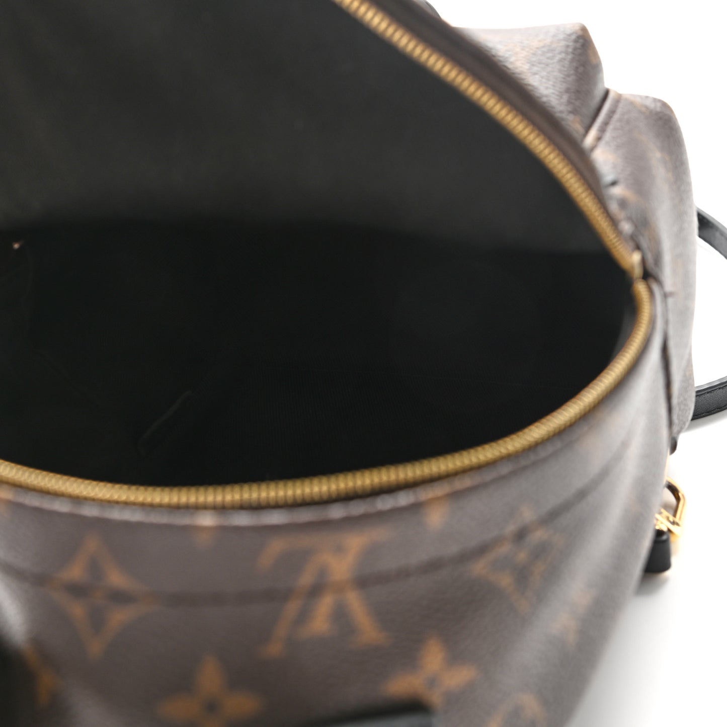Monogram Palm Springs Backpack Mini