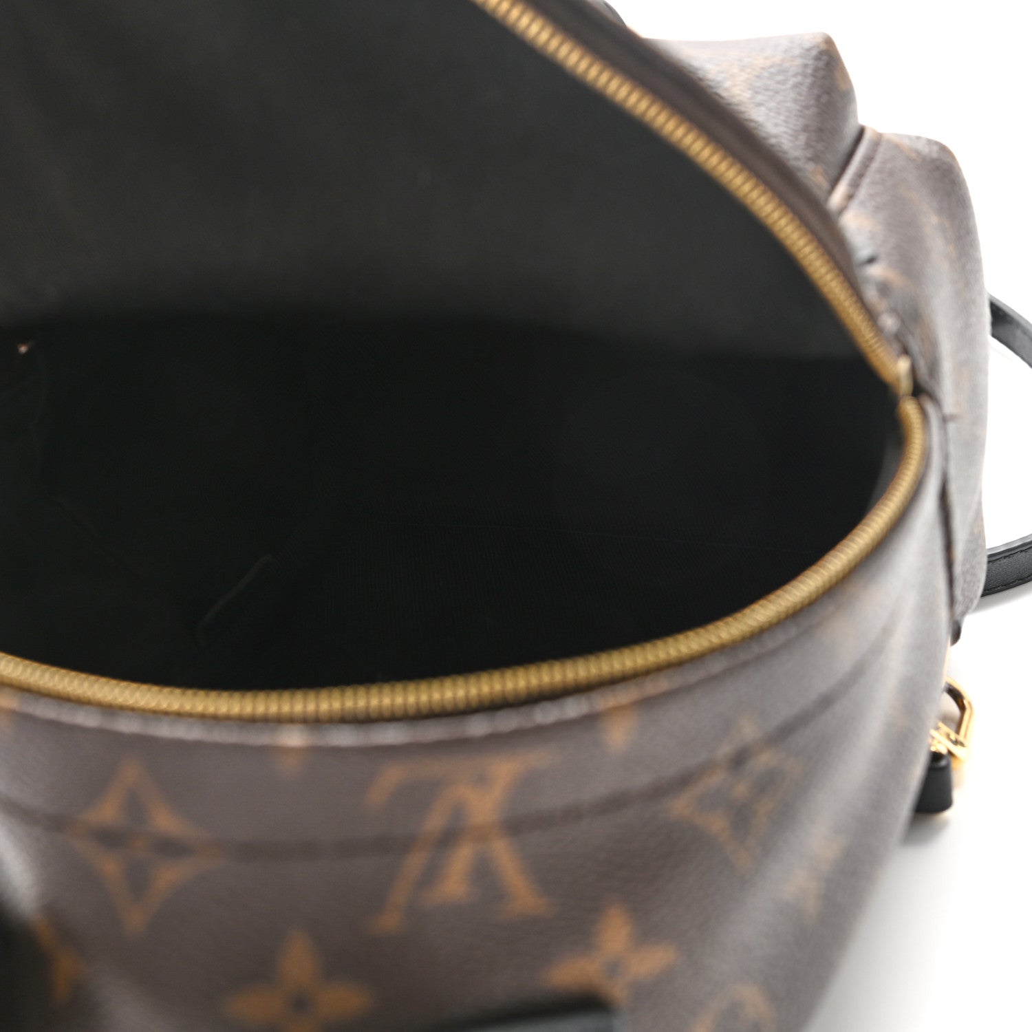 Louis Vuitton Monogram Palm Springs Backpack Mini 5 of 11