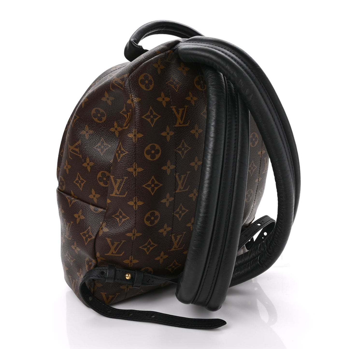 Monogram Palm Springs Backpack MM