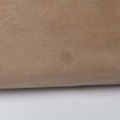 Prada Vitello Shine Shopping Satchel Argilla 15 of 23