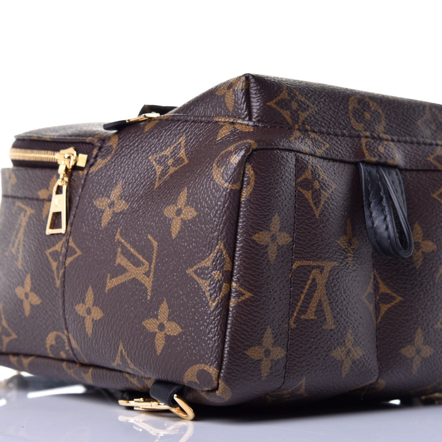 Monogram Palm Springs Backpack Mini