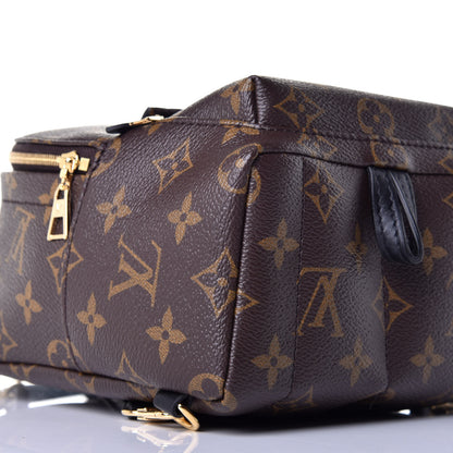Louis Vuitton Monogram Palm Springs Backpack Mini 6 of 8