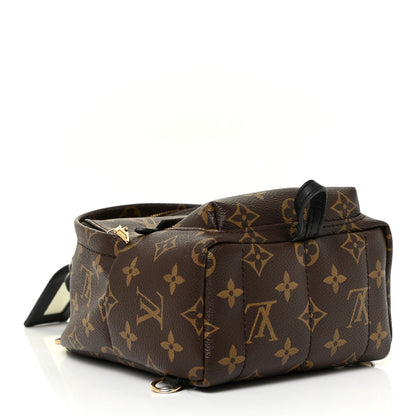 Louis Vuitton Monogram Palm Springs Backpack Mini 4 of 15