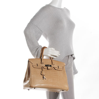 Hermes Matte Alligator Birkin 35 Poussiere 2 of 29