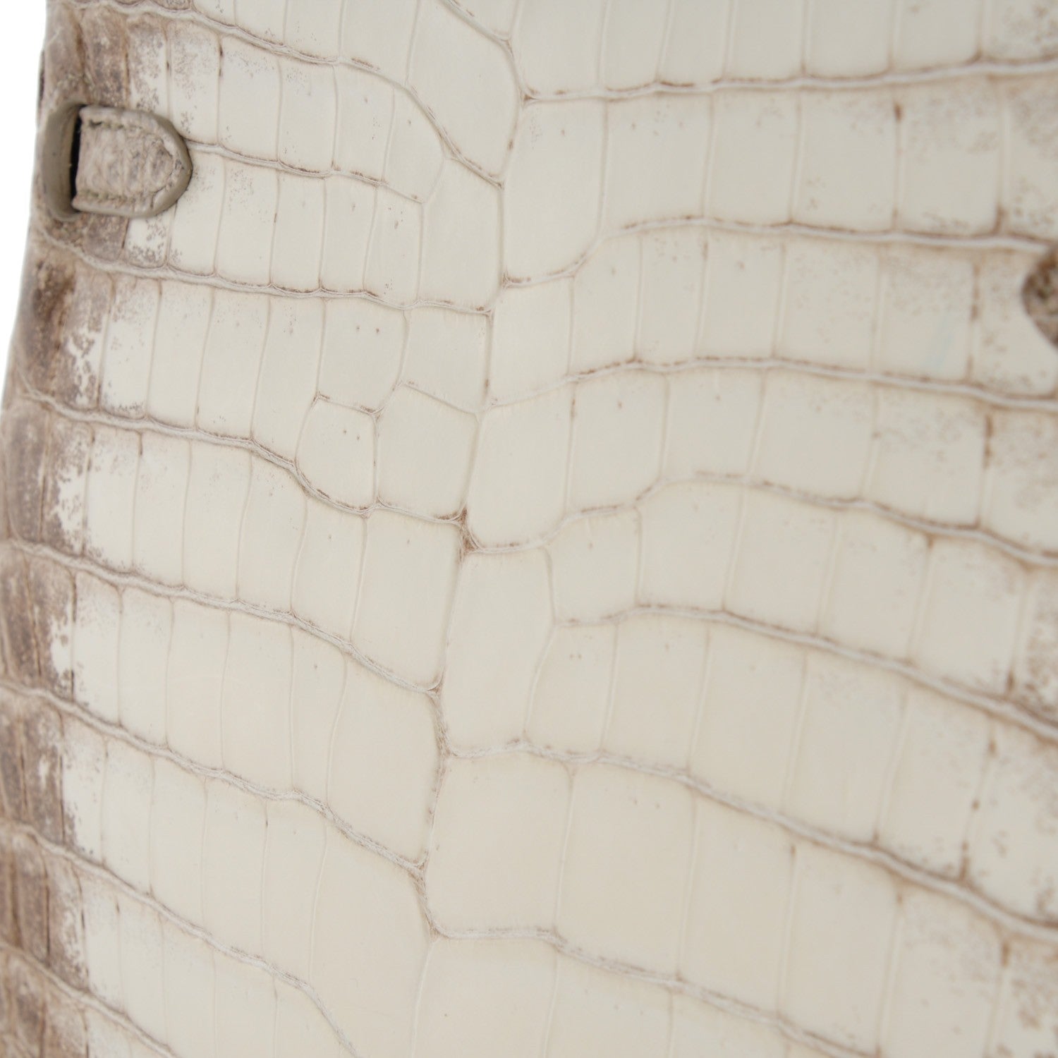 Hermes Matte Niloticus Crocodile Himalaya Kelly Retourne 25 White 20 of 32