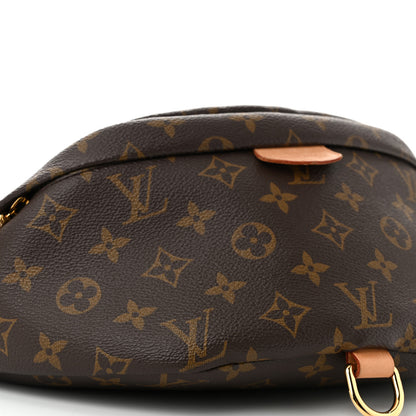 Louis Vuitton Monogram Bumbag 9 of 10
