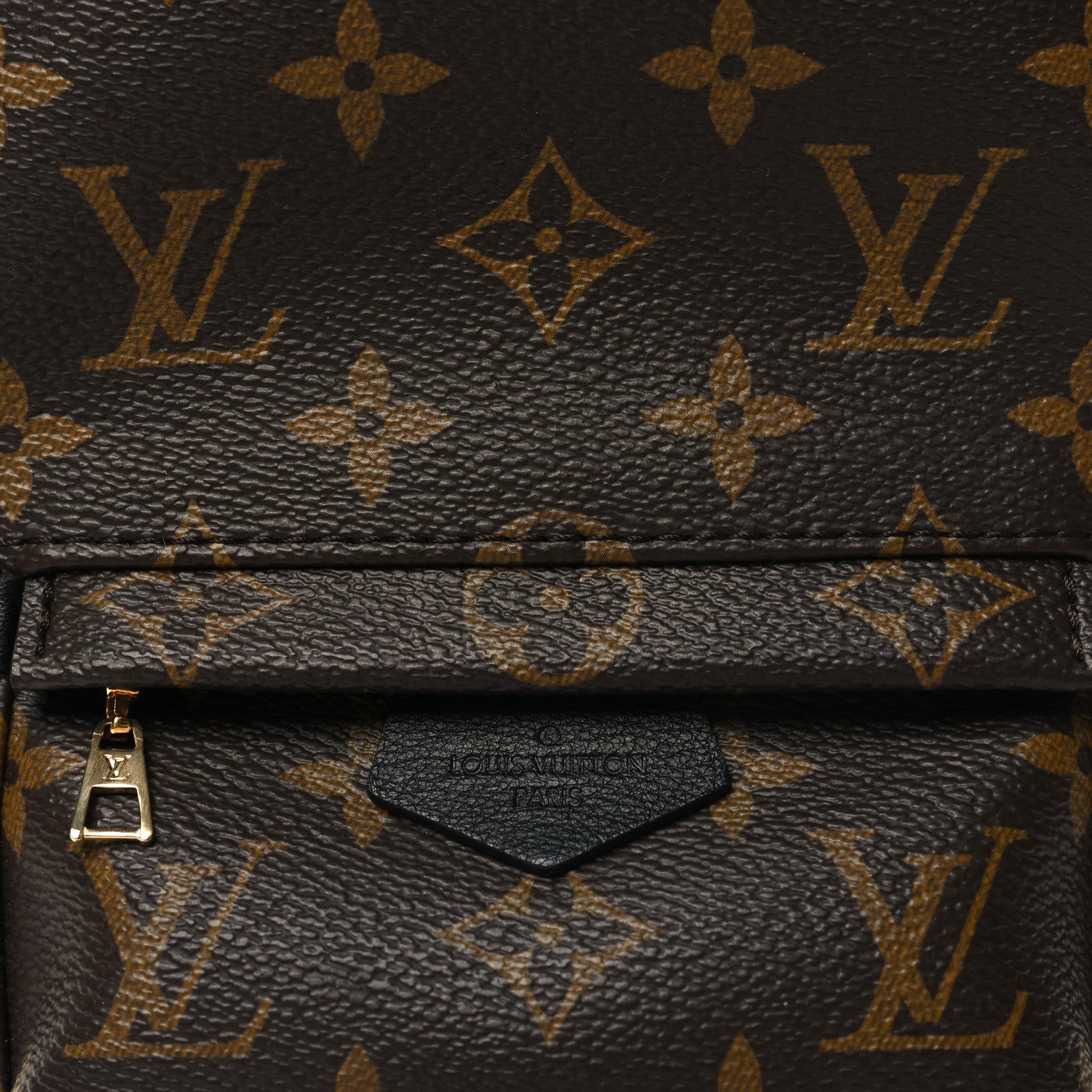 Louis Vuitton Monogram Palm Springs Backpack Mini 8 of 11