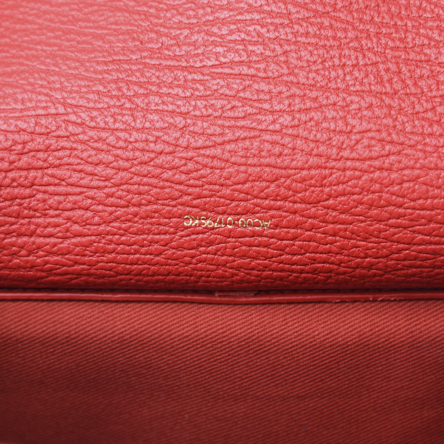 3.1 Textured Calfskin Medium Pashli Satchel Red