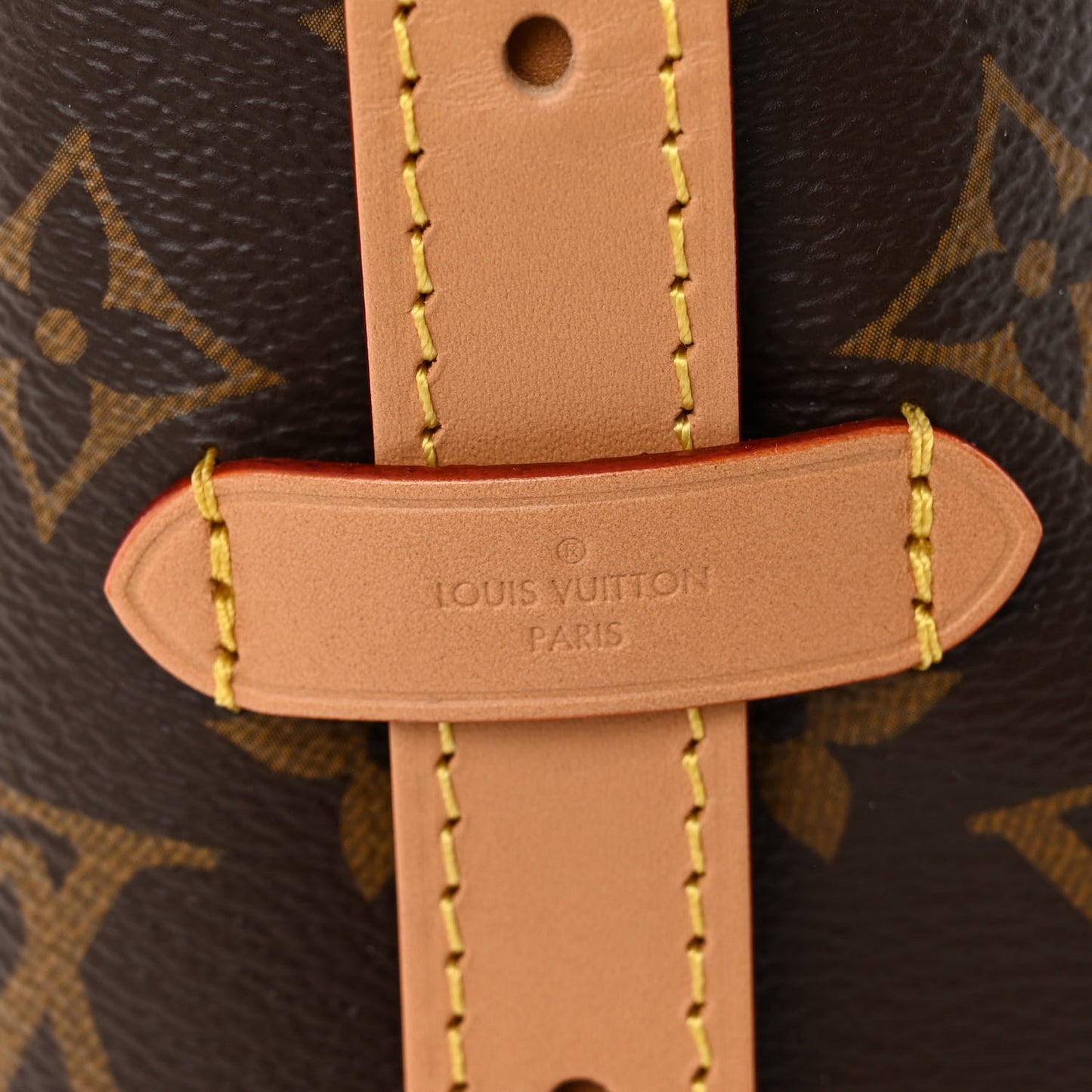 Monogram CarryAll PM