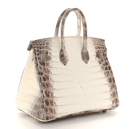 Hermes Matte Niloticus Crocodile Himalaya Birkin 25 Blanc 3 of 20
