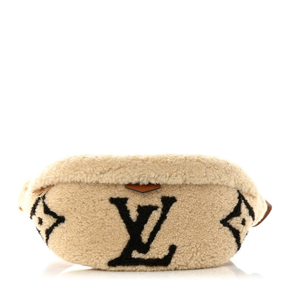 Louis Vuitton Monogram Teddy Bumbag 1 of 10