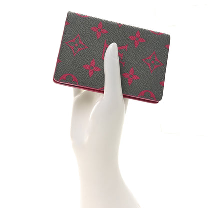 Louis Vuitton Taigarama Pocket Organizer NM Grey Pink 2 of 7