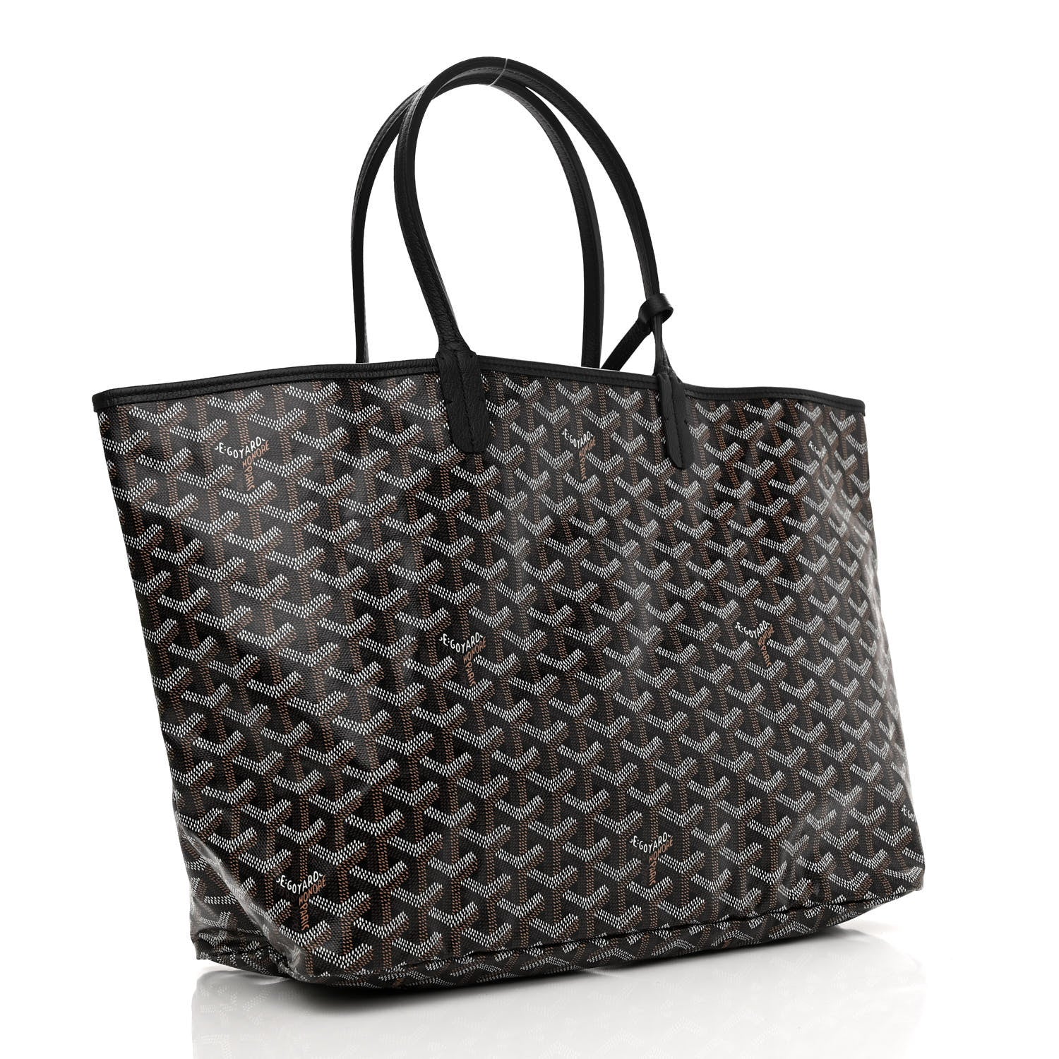 Goyard Goyardine Saint Louis PM Black 4 of 12
