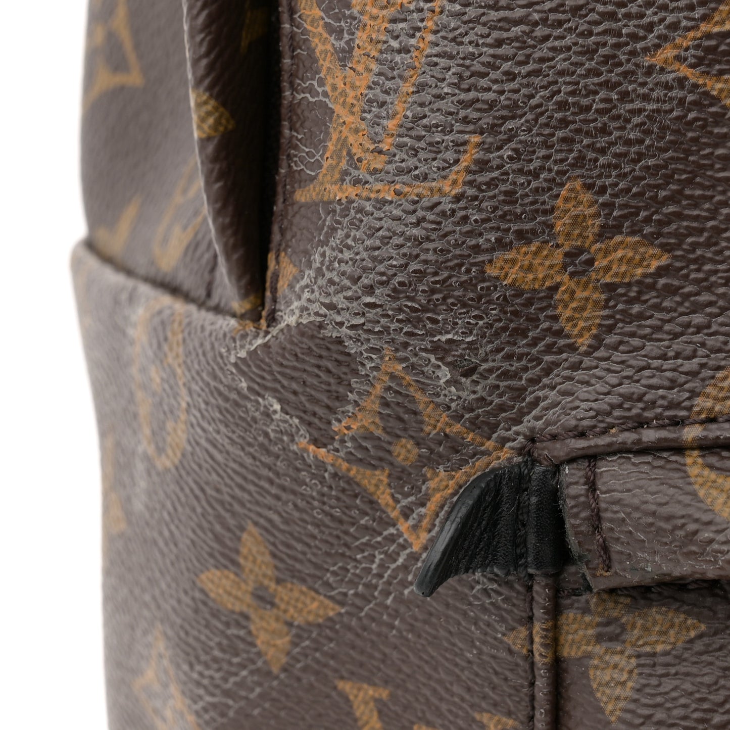 Monogram Palm Springs Backpack MM