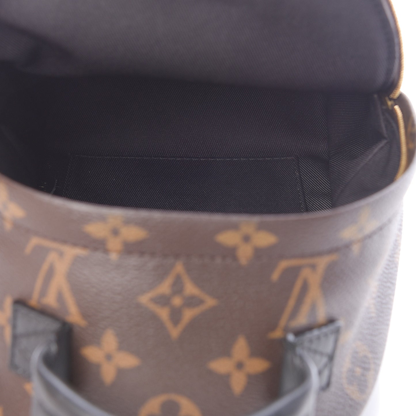 Monogram Palm Springs Backpack Mini