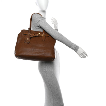 Miu Miu Nappa Medium Aventure Bag Rovere 2 of 16