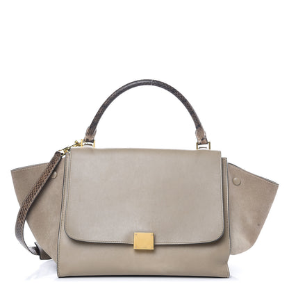 Celine Calfskin Suede Whipsnake Medium Trapeze Taupe 1 of 22
